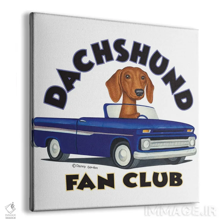 تابلو داشهوند راننده کامیون آبی با نوشته اثر دنی گوردون - نمای پرسپکتیو محصول