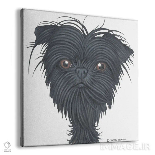 تابلو پرتره آفتنپینشر (نژاد سگ) اثر دنی گوردون - نمای پرسپکتیو محصول