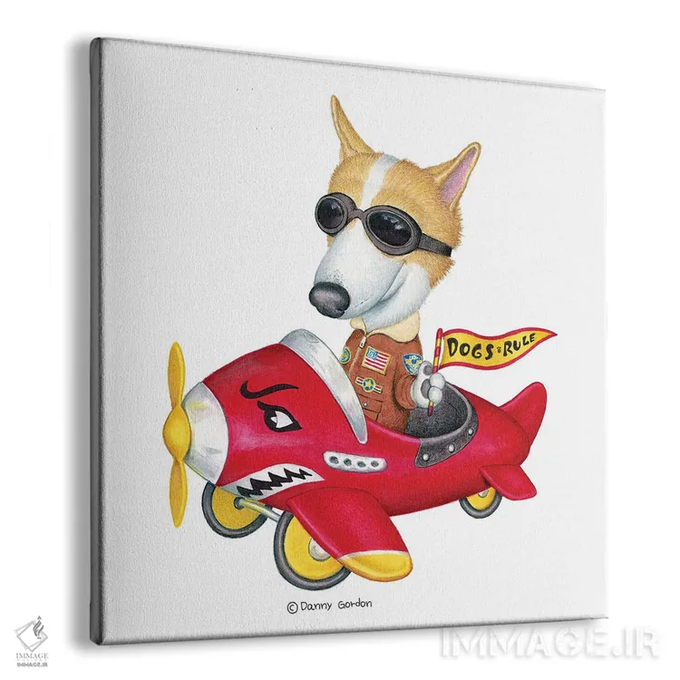 تابلو کورگی در هواپیمای قرمز اثر دنی گوردون - نمای پرسپکتیو محصول