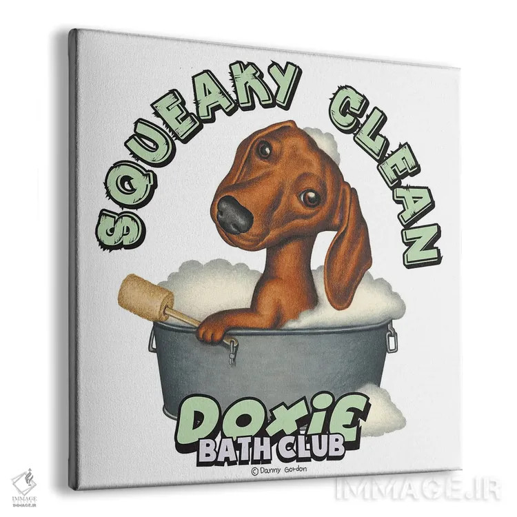 تابلو داشهوند تروتمیز اثر دنی گوردون - نمای پرسپکتیو محصول