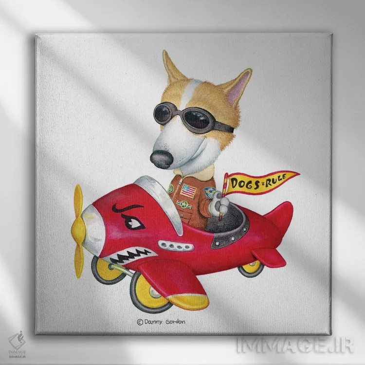 تابلو کورگی در هواپیمای قرمز اثر دنی گوردون - نمای روبهرو روی دیوار