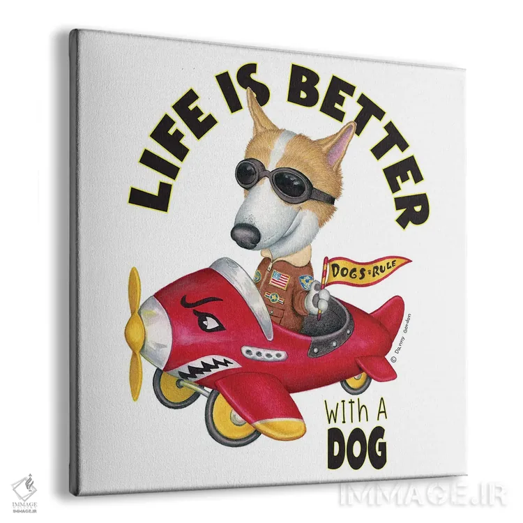 تابلو کورگی در هواپیما با نوشته اثر دنی گوردون - نمای پرسپکتیو محصول