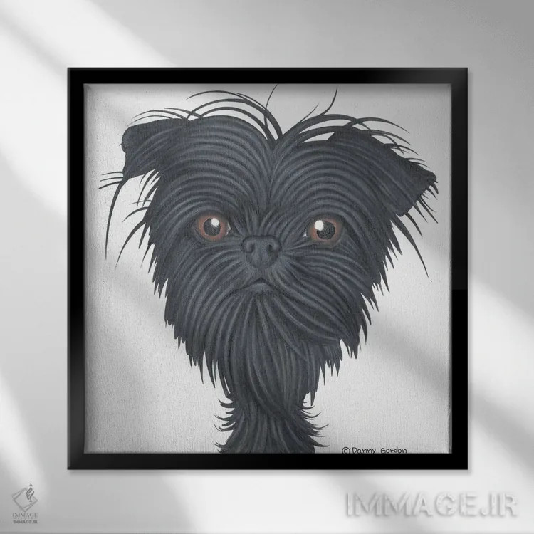 تابلو پرتره آفتنپینشر (نژاد سگ) اثر دنی گوردون - نمای قابدار مشکی