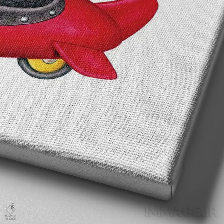 تابلو کورگی در هواپیمای قرمز اثر دنی گوردون - نمای نزدیک بافت بوم