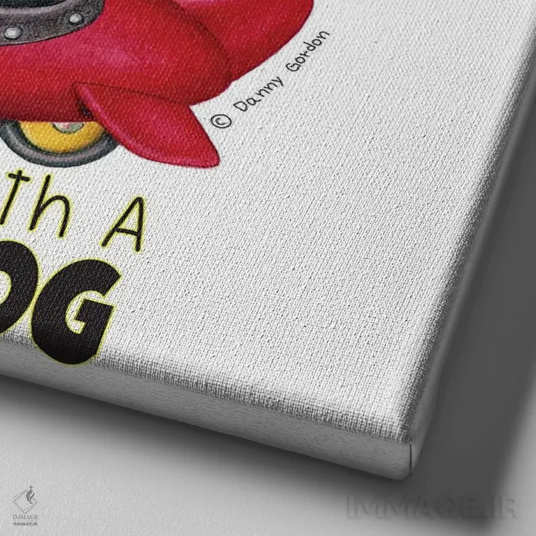 تابلو کورگی در هواپیما با نوشته اثر دنی گوردون - نمای نزدیک بافت بوم