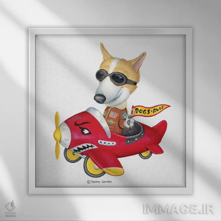 تابلو کورگی در هواپیمای قرمز اثر دنی گوردون - نمای قابدار سفید