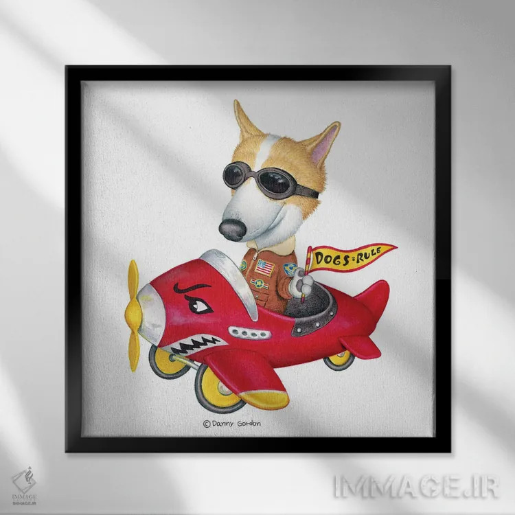 تابلو کورگی در هواپیمای قرمز اثر دنی گوردون - نمای قابدار مشکی