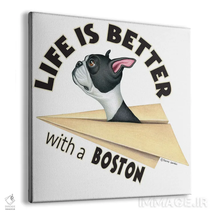 تابلو زندگی با هواپیمای تریر بوستون بهتر است اثر دنی گوردون - نمای پرسپکتیو محصول