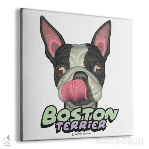 تابلو تریر بوستون که لبهایش را میلیسد اثر دنی گوردون - نمای پرسپکتیو محصول