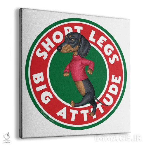 تابلو داشهوند سیاه در حال راه رفتن دایرهای اثر دنی گوردون - نمای پرسپکتیو محصول