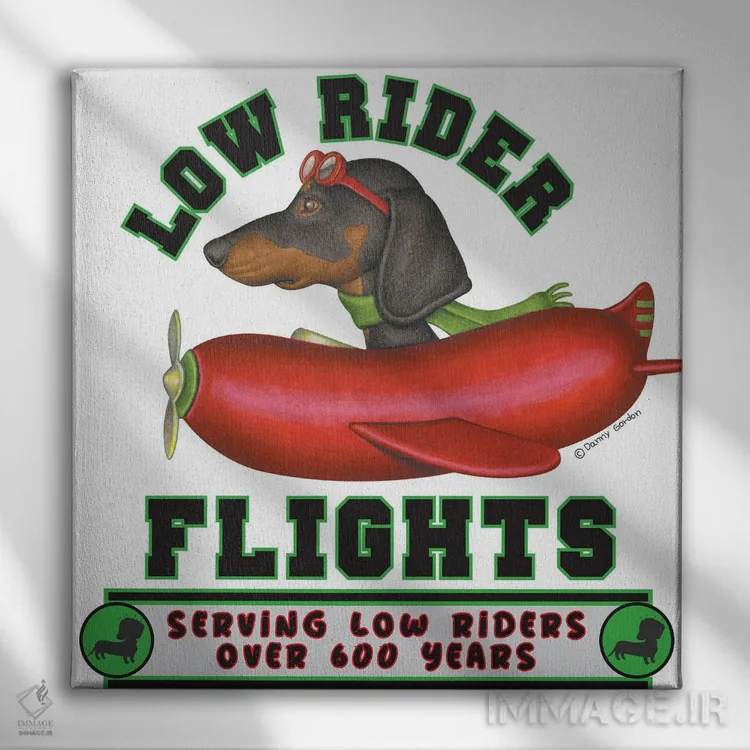 تابلو داشهوند سیاه در هواپیمای سوسیس اثر دنی گوردون - نمای روبهرو روی دیوار