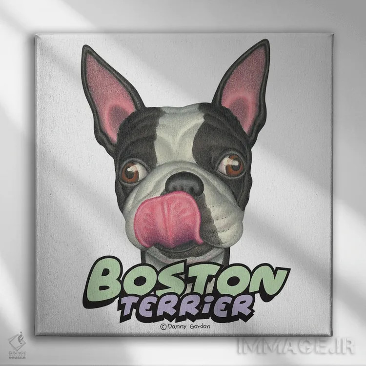تابلو تریر بوستون که لبهایش را میلیسد اثر دنی گوردون - نمای روبهرو روی دیوار