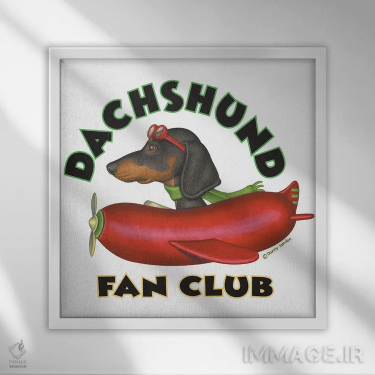 تابلو باشگاه هواداران هواپیمای سوسیس داشهوند سیاه اثر دنی گوردون - نمای قابدار سفید