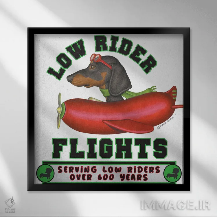 تابلو داشهوند سیاه در هواپیمای سوسیس اثر دنی گوردون - نمای قابدار مشکی