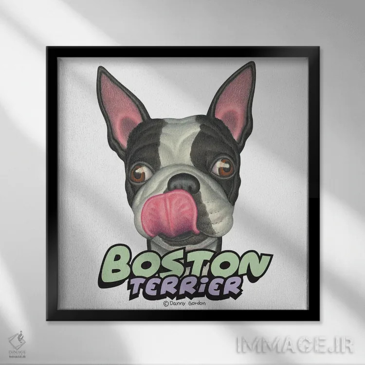 تابلو تریر بوستون که لبهایش را میلیسد اثر دنی گوردون - نمای قابدار مشکی