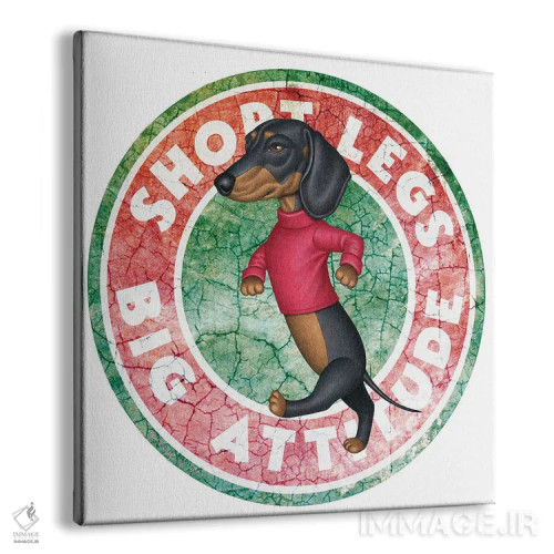 تابلو سگ داشهوند مشکی در دایرهای با ظاهر کهنه اثر دنی گوردون - نمای پرسپکتیو محصول