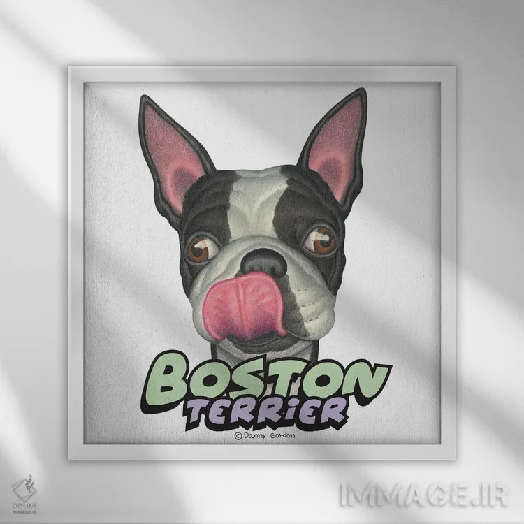 تابلو تریر بوستون که لبهایش را میلیسد اثر دنی گوردون - نمای قابدار سفید