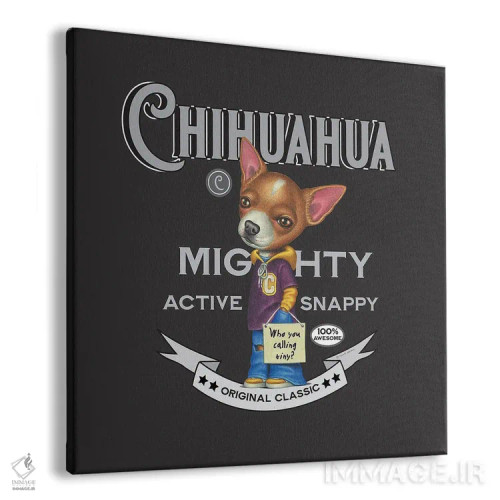 تابلو چیهواهوا با هودی و شلوار جین به سبک قدیمی اثر دنی گوردون - نمای پرسپکتیو محصول