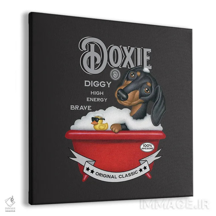 تابلو سگ داشهوند مشکی در وان قرمز به سبک قدیمی اثر دنی گوردون - نمای پرسپکتیو محصول