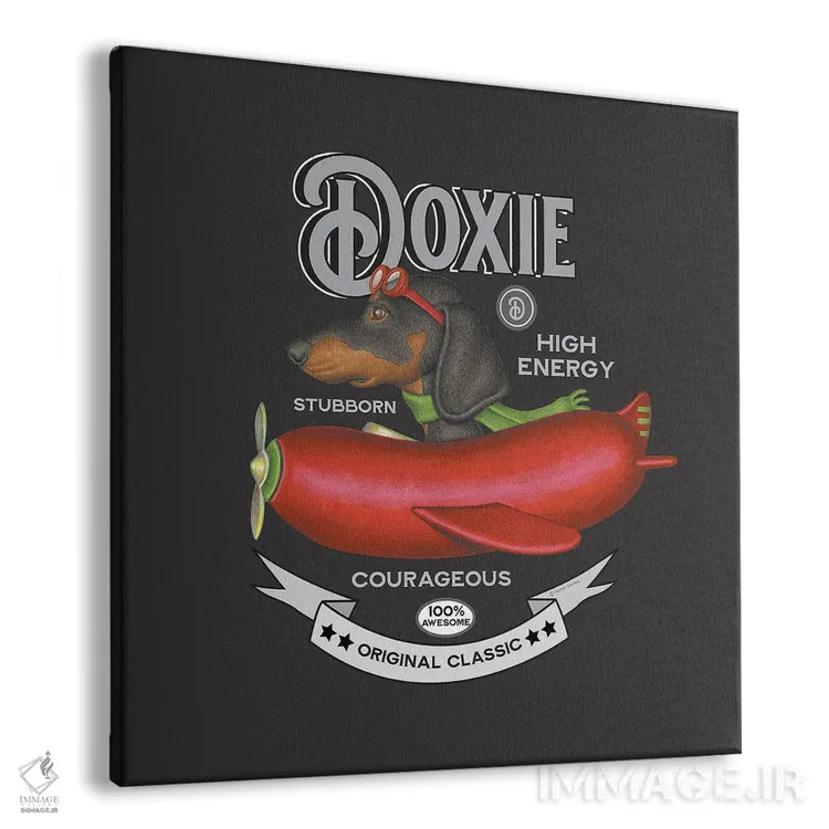 تابلو داشهوند مشکی در هواپیما به سبک قدیمی اثر دنی گوردون - نمای پرسپکتیو محصول