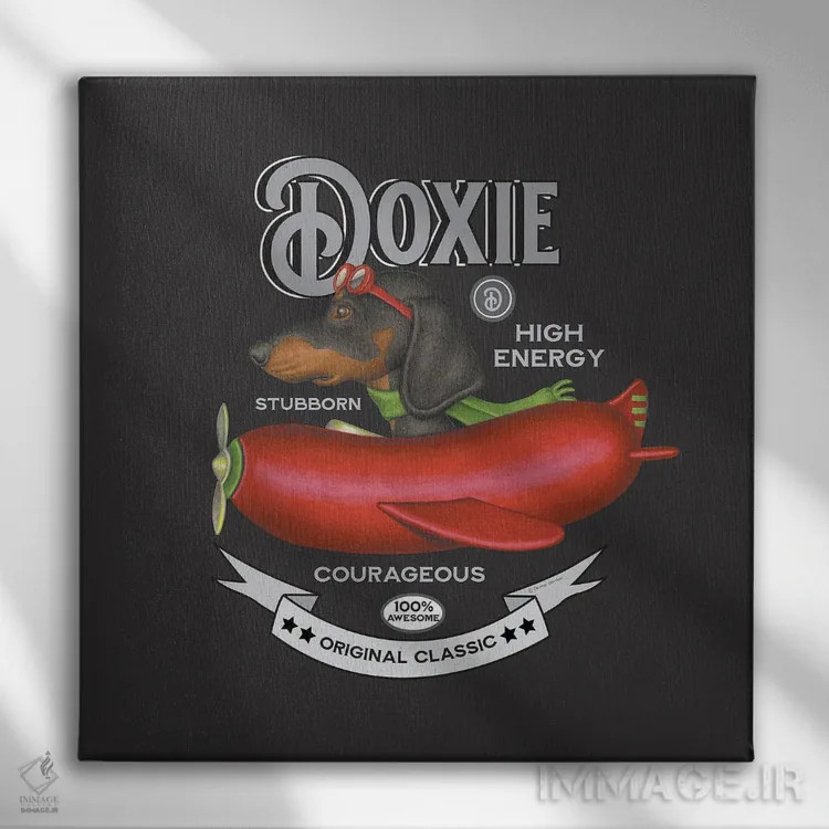 تابلو داشهوند مشکی در هواپیما به سبک قدیمی اثر دنی گوردون - نمای روبهرو روی دیوار