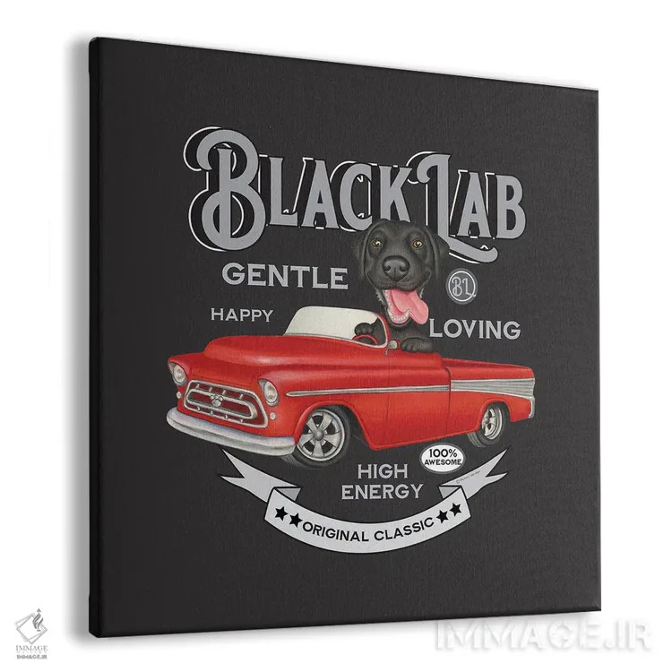تابلو لابرادور مشکی در کامیون قرمز به سبک قدیمی اثر دنی گوردون - نمای پرسپکتیو محصول