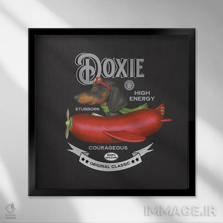 تابلو داشهوند مشکی در هواپیما به سبک قدیمی اثر دنی گوردون - نمای قابدار مشکی