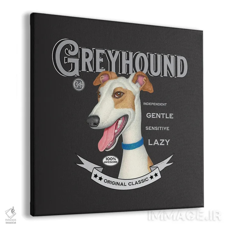 تابلو سگ گریهاند طلایی و سفید به سبک قدیمی اثر دنی گوردون - نمای پرسپکتیو محصول