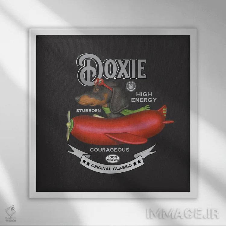 تابلو داشهوند مشکی در هواپیما به سبک قدیمی اثر دنی گوردون - نمای قابدار سفید