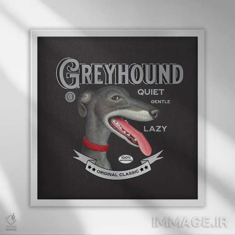 تابلو سگ گریهاند خاکستری با قلاده قرمز به سبک قدیمی اثر دنی گوردون - نمای قابدار سفید