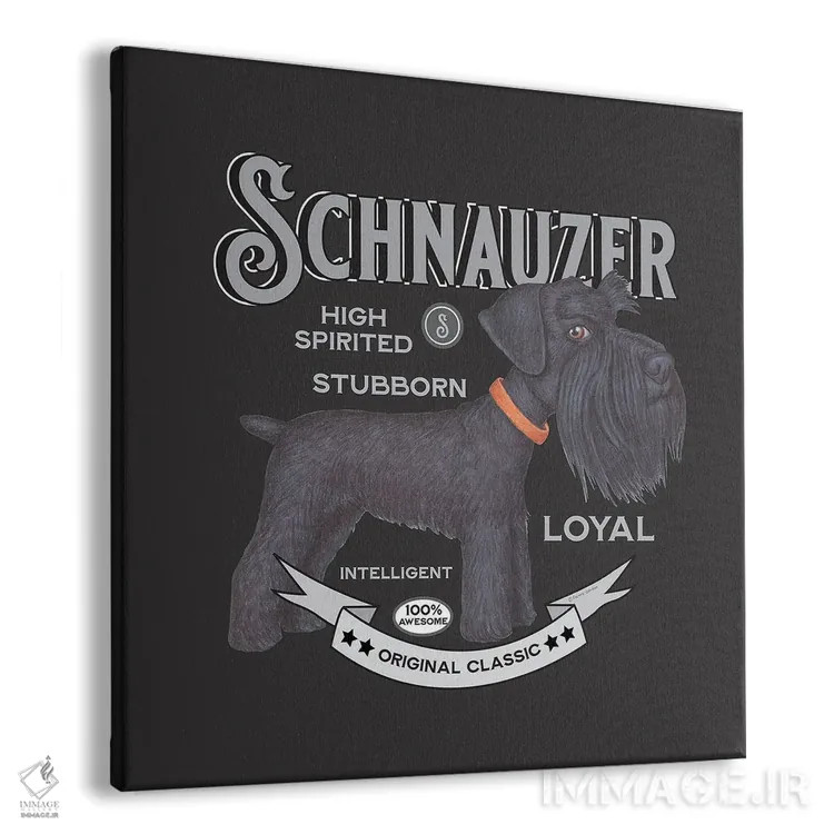 تابلو شنوزر مشکی با قلاده نارنجی به سبک قدیمی اثر دنی گوردون - نمای پرسپکتیو محصول