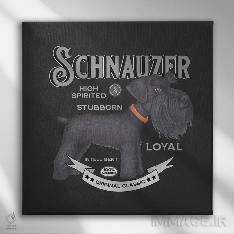 تابلو شنوزر مشکی با قلاده نارنجی به سبک قدیمی اثر دنی گوردون - نمای روبهرو روی دیوار