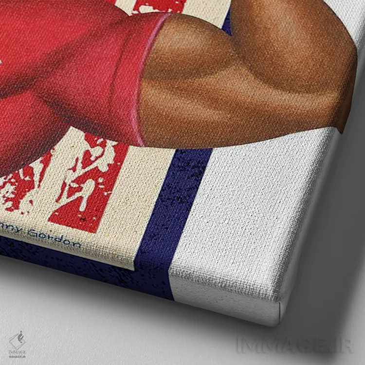 تابلو روتوایлер باشگاه روت آمریکا با پرچم اثر دنی گوردون - نمای نزدیک بافت بوم