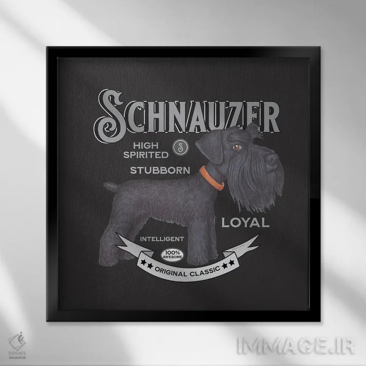 تابلو شنوزر مشکی با قلاده نارنجی به سبک قدیمی اثر دنی گوردون - نمای قابدار مشکی