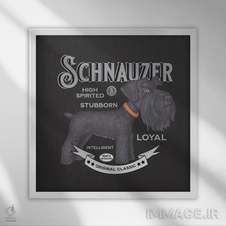 تابلو شنوزر مشکی با قلاده نارنجی به سبک قدیمی اثر دنی گوردون - نمای قابدار سفید