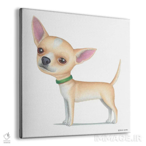 تابلو چیهواهوا طلایی اثر دنی گوردون - نمای پرسپکتیو محصول