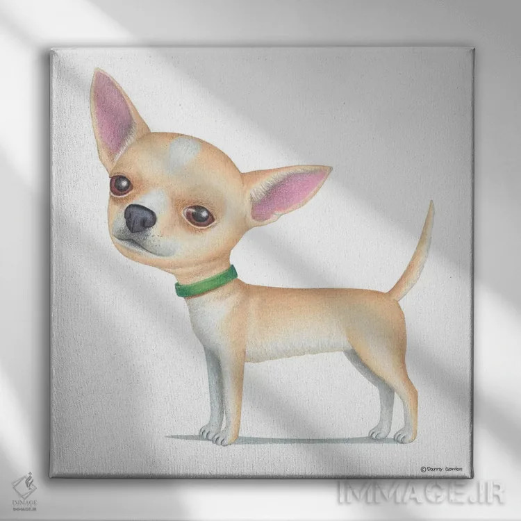 تابلو چیهواهوا طلایی اثر دنی گوردون - نمای روبهرو روی دیوار