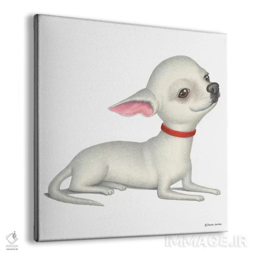 تابلو چیهواهوا سفید اثر دنی گوردون - نمای پرسپکتیو محصول