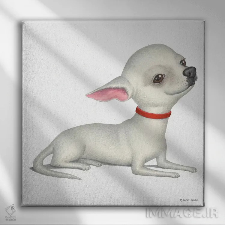 تابلو چیهواهوا سفید اثر دنی گوردون - نمای روبهرو روی دیوار