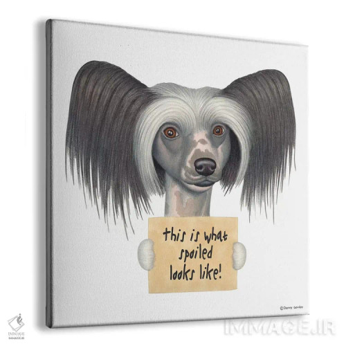 تابلو چاینیز کرستد اثر دنی گوردون - نمای پرسپکتیو محصول