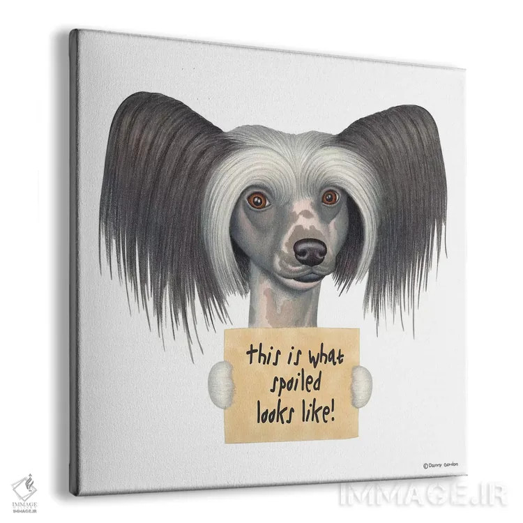 تابلو چاینیز کرستد اثر دنی گوردون - نمای پرسپکتیو محصول