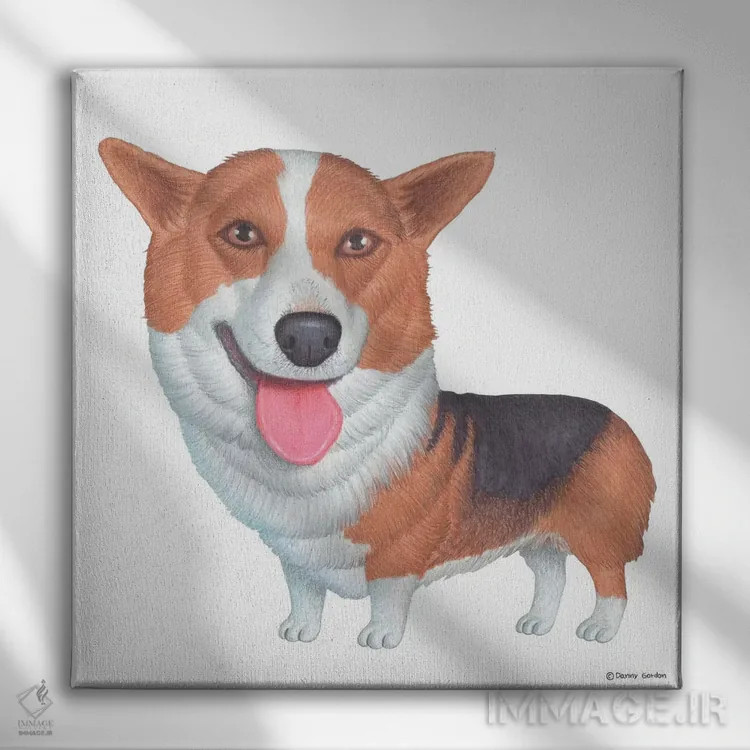 تابلو کورگی پمبروک اثر دنی گوردون - نمای روبهرو روی دیوار