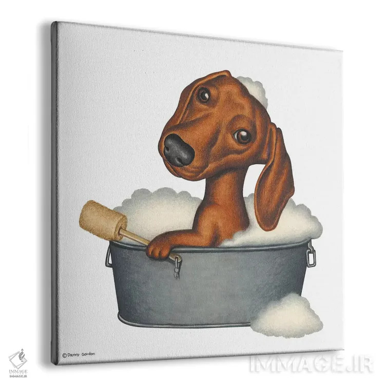 تابلو حمام داشهوند اثر دنی گوردون - نمای پرسپکتیو محصول