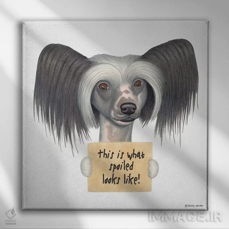 تابلو چاینیز کرستد اثر دنی گوردون - نمای روبهرو روی دیوار