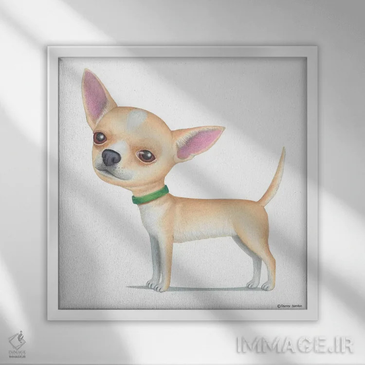 تابلو چیهواهوا طلایی اثر دنی گوردون - نمای قابدار سفید