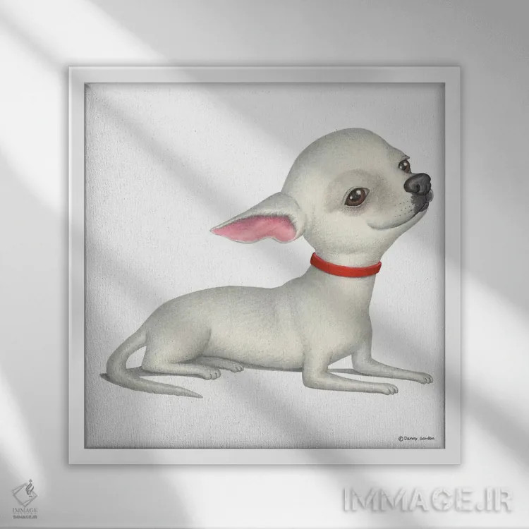 تابلو چیهواهوا سفید اثر دنی گوردون - نمای قابدار سفید