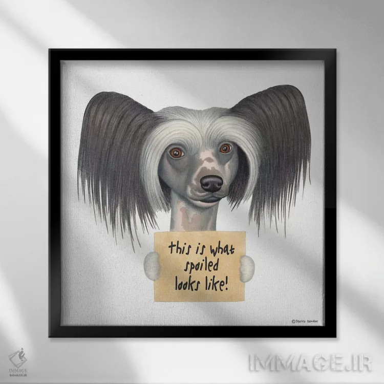 تابلو چاینیز کرستد اثر دنی گوردون - نمای قابدار مشکی