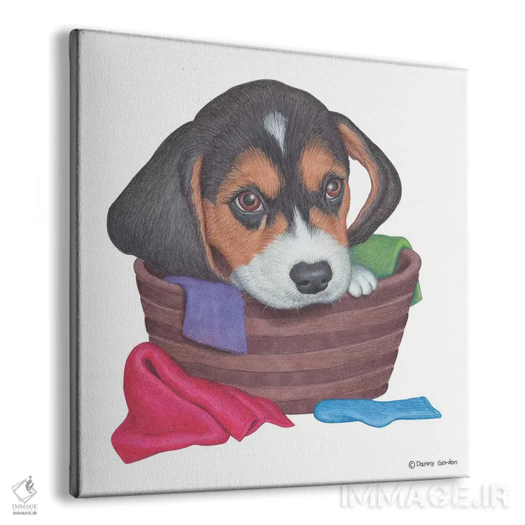 تابلو بیگل در سبد لباس اثر دنی گوردون - نمای پرسپکتیو محصول