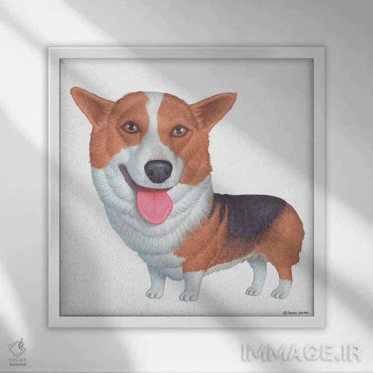 تابلو کورگی پمبروک اثر دنی گوردون - نمای قابدار سفید