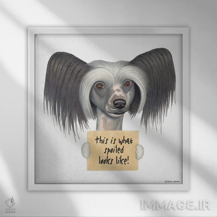 تابلو چاینیز کرستد اثر دنی گوردون - نمای قابدار سفید